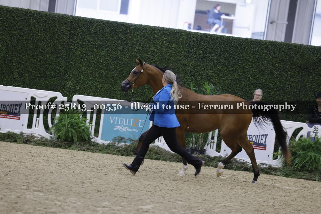 Proof 25R13_00556