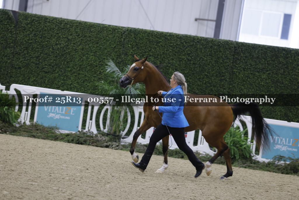 Proof 25R13_00557