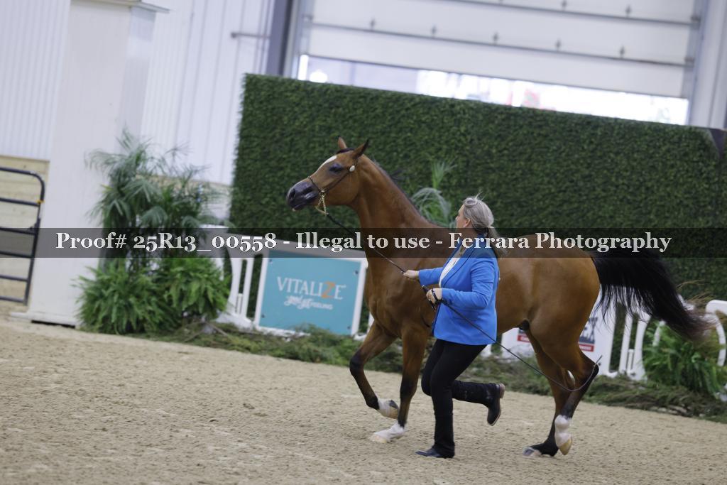 Proof 25R13_00558