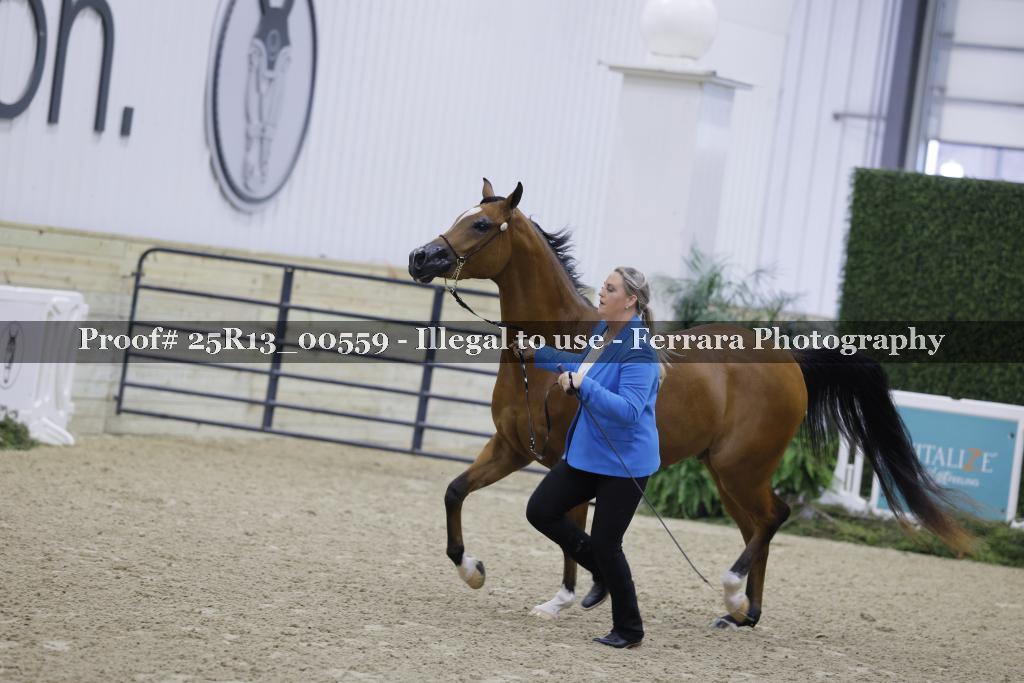 Proof 25R13_00559