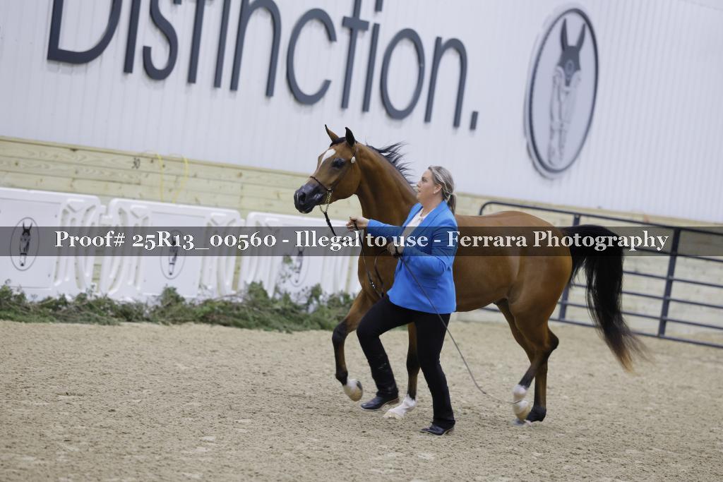Proof 25R13_00560