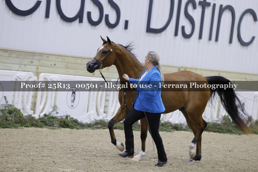 Proof 25R13_00561