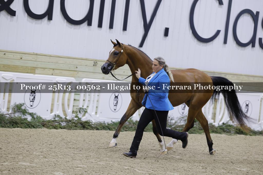 Proof 25R13_00562