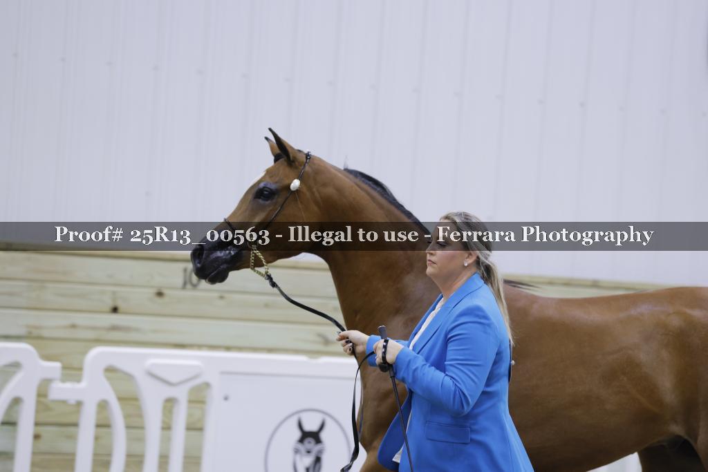 Proof 25R13_00563