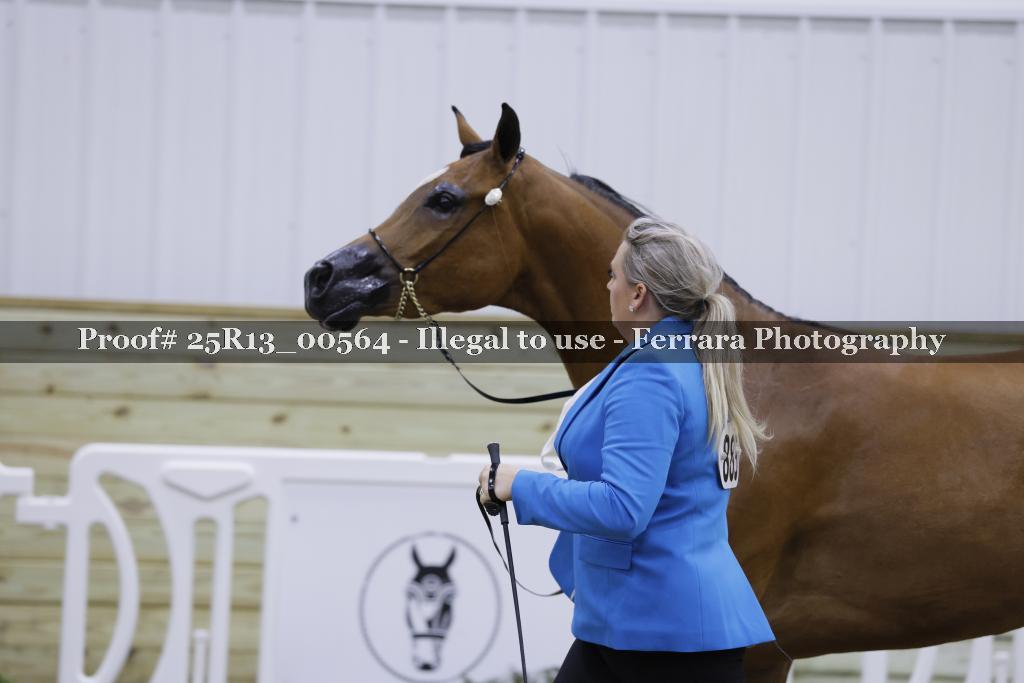 Proof 25R13_00564