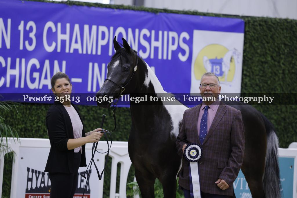Proof 25R13_00565
