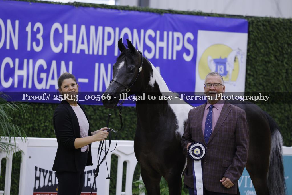 Proof 25R13_00566