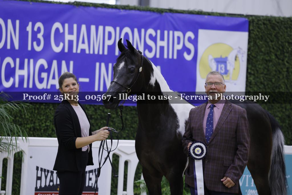 Proof 25R13_00567