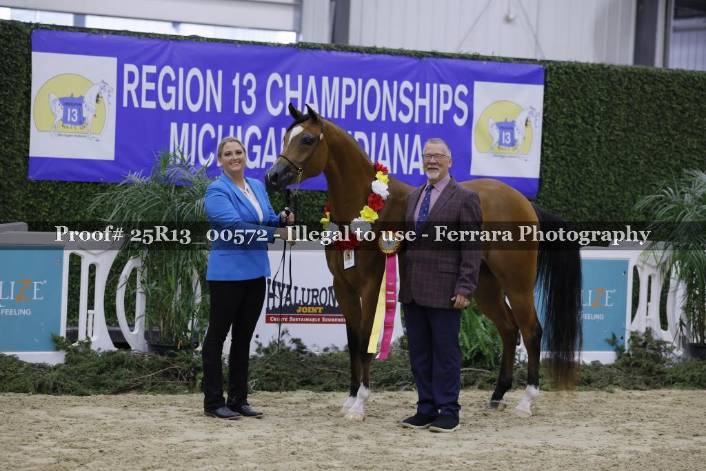 Proof 25R13_00572