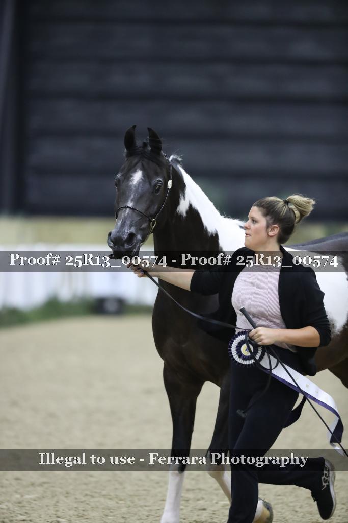 Proof 25R13_00574