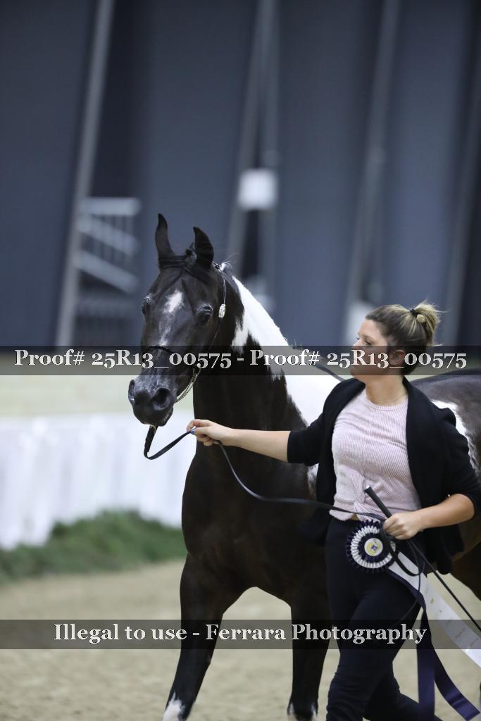 Proof 25R13_00575