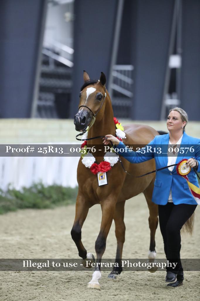 Proof 25R13_00576