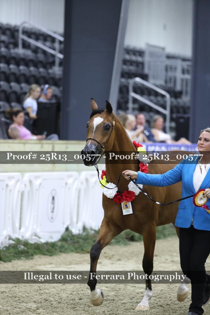 Proof 25R13_00577