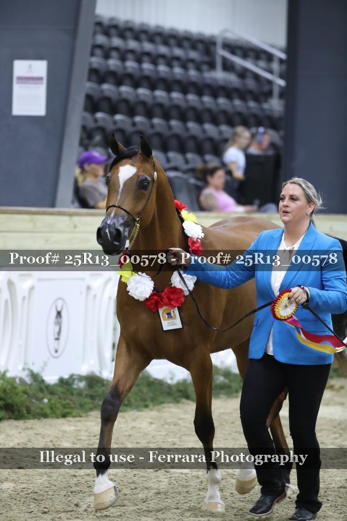 Proof 25R13_00578
