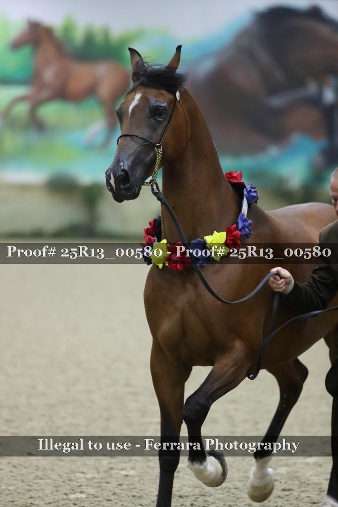 Proof 25R13_00580