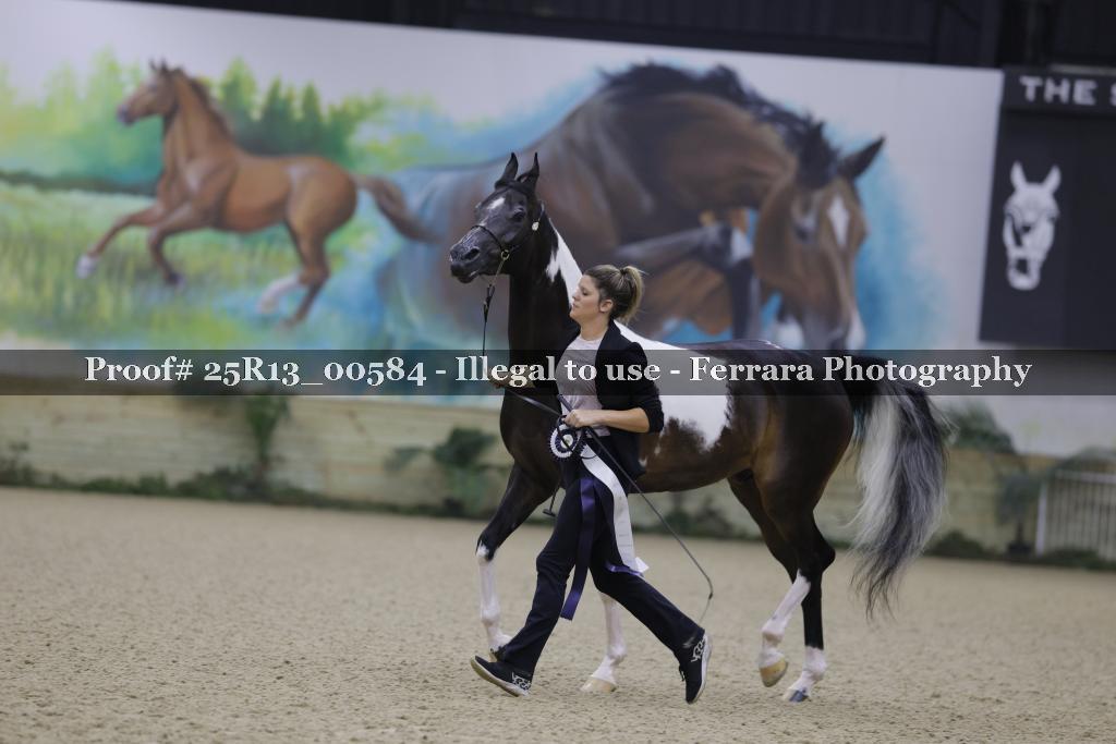 Proof 25R13_00584