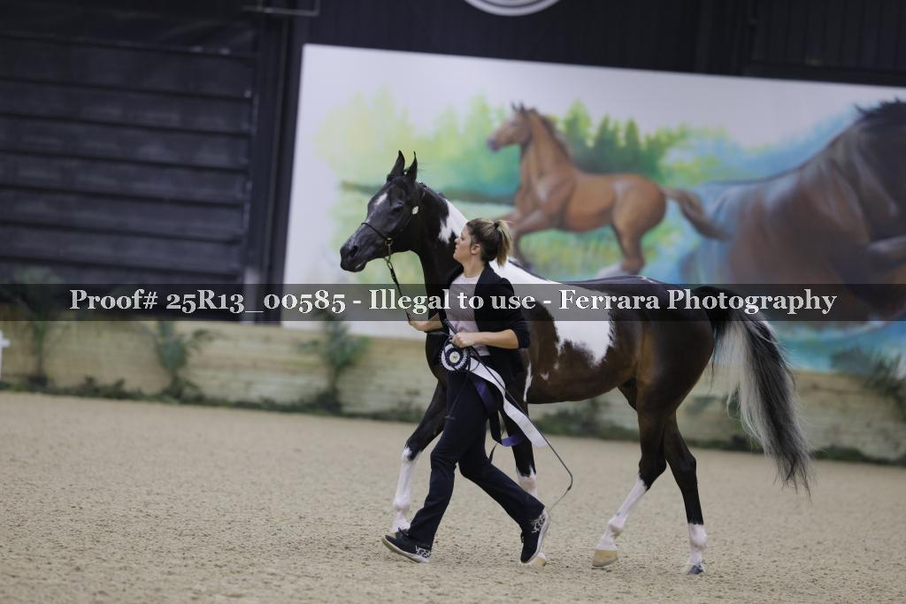 Proof 25R13_00585