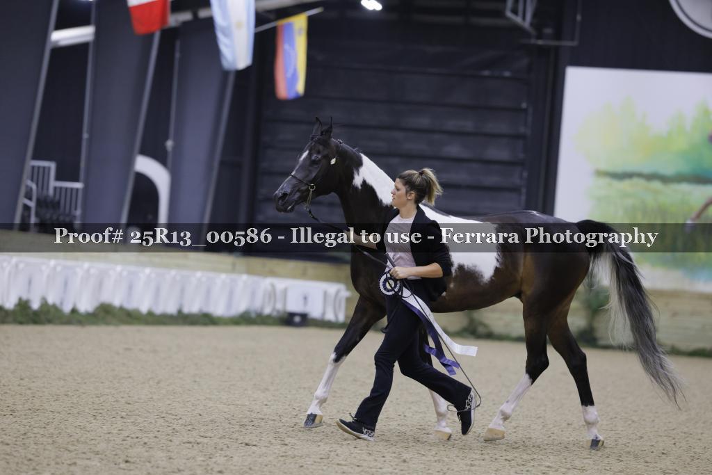 Proof 25R13_00586