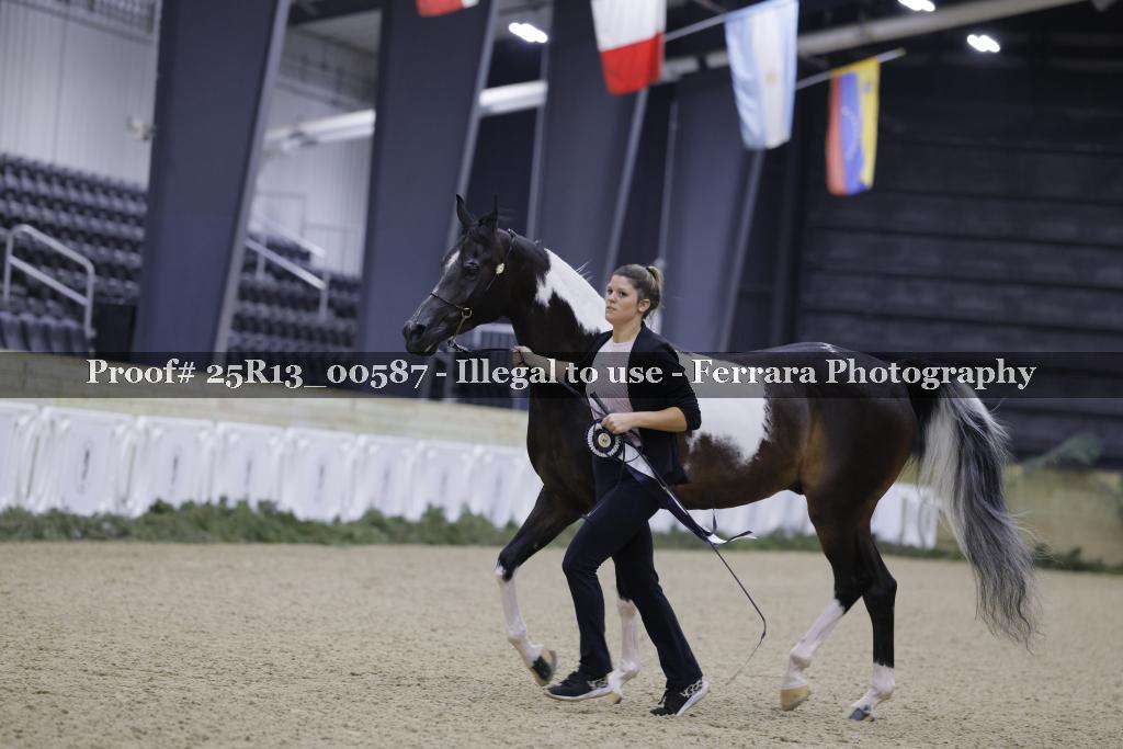 Proof 25R13_00587