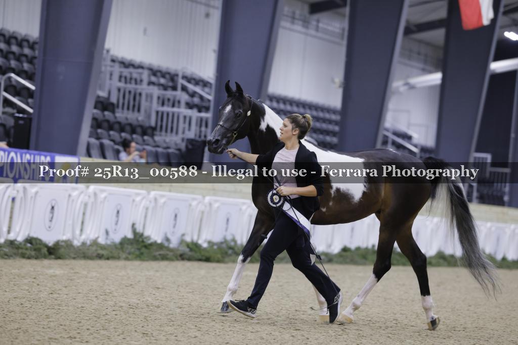 Proof 25R13_00588