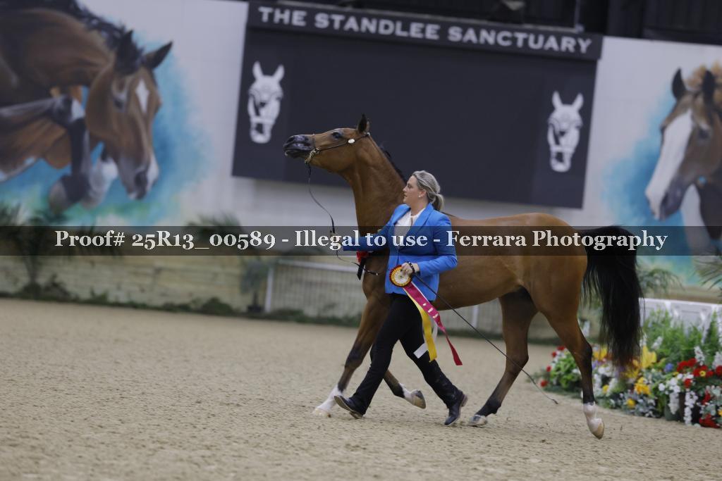 Proof 25R13_00589