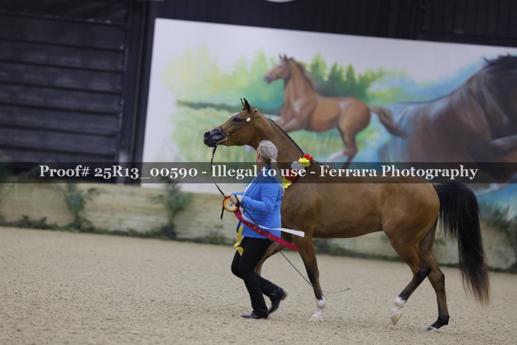 Proof 25R13_00590