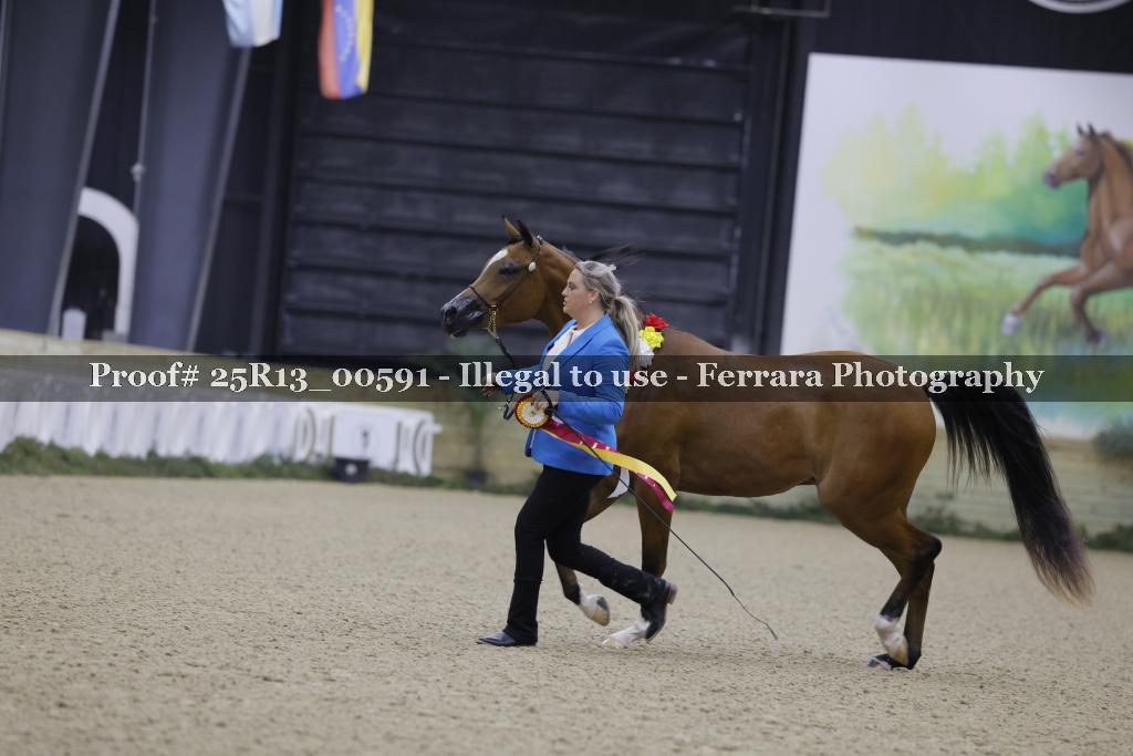 Proof 25R13_00591