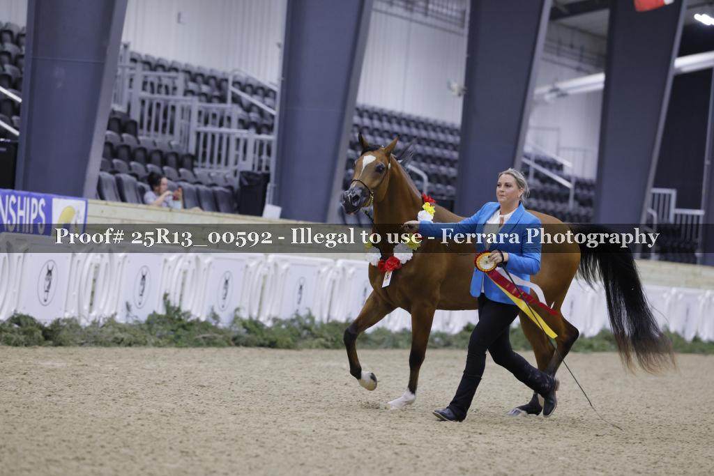 Proof 25R13_00592