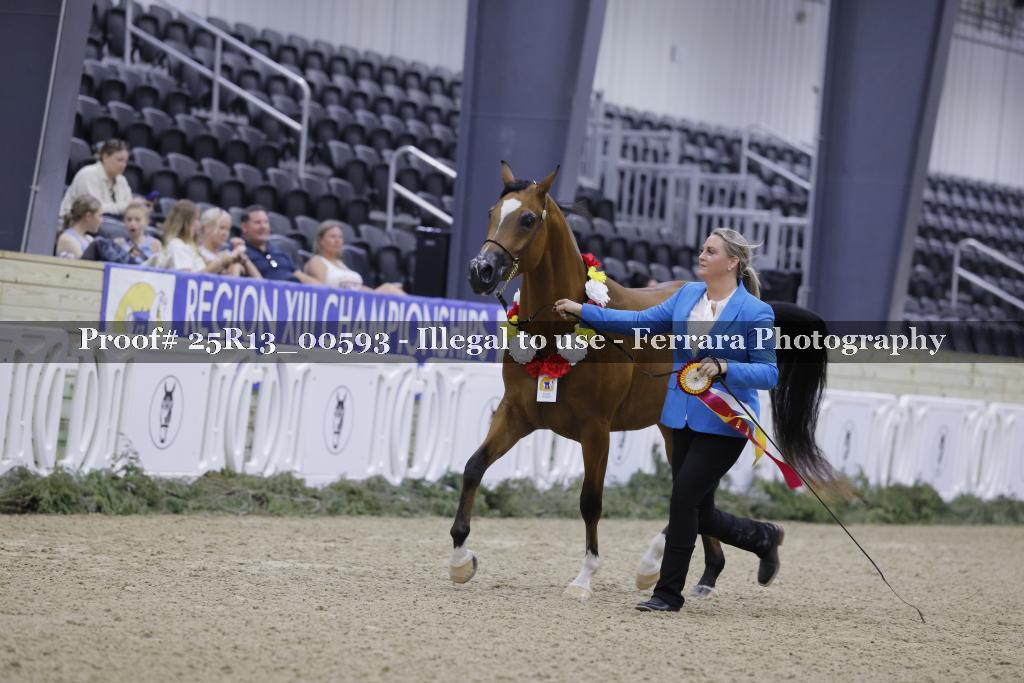 Proof 25R13_00593