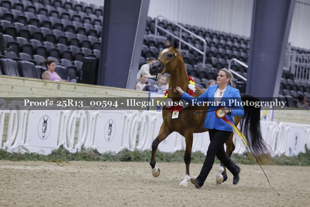 Proof 25R13_00594