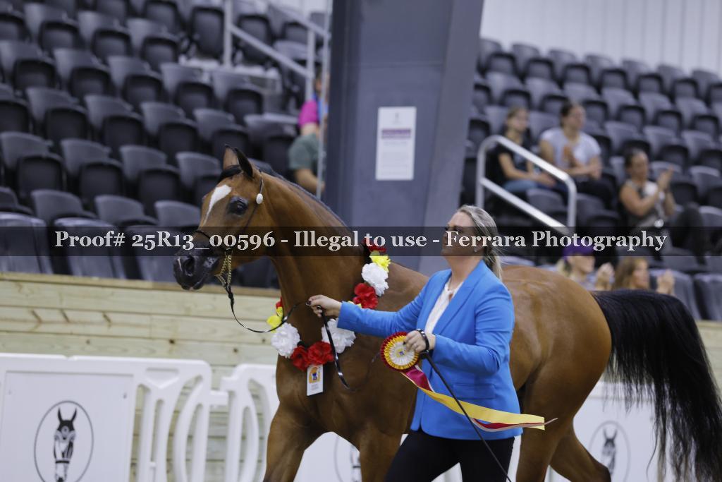 Proof 25R13_00596