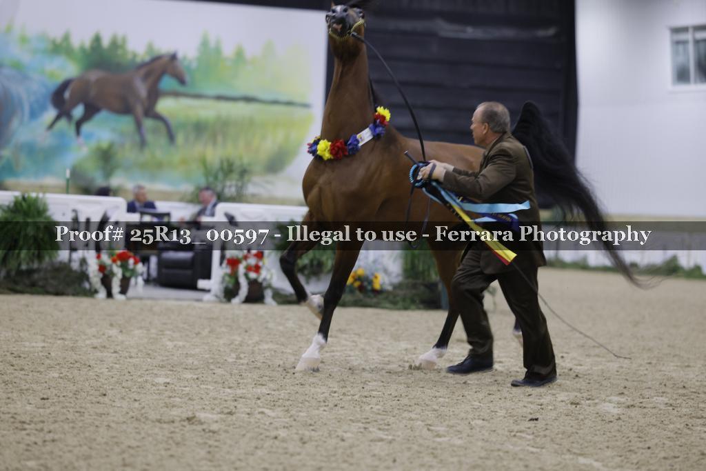 Proof 25R13_00597