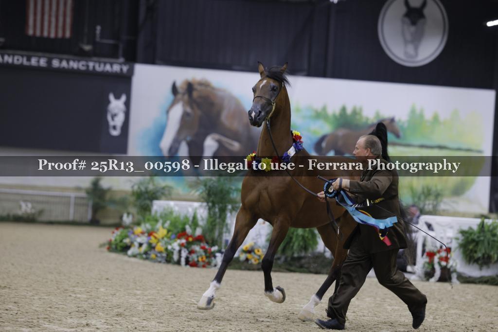 Proof 25R13_00598