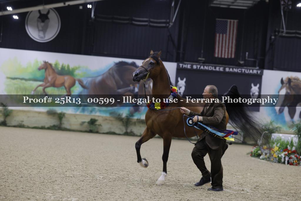 Proof 25R13_00599