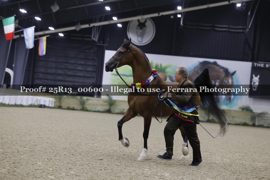 Proof 25R13_00600