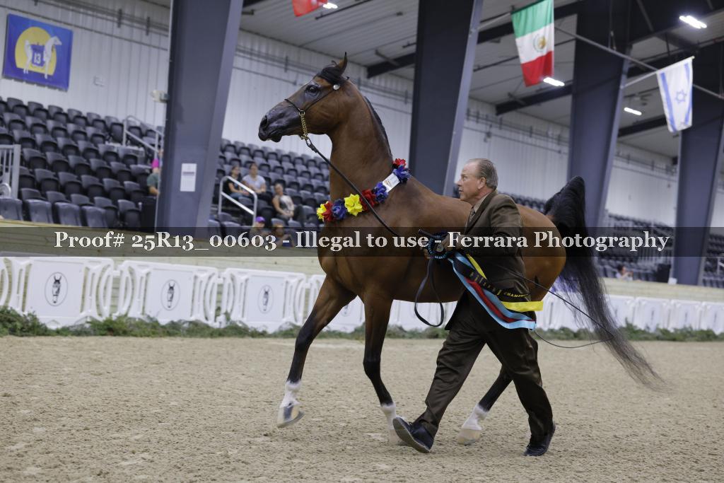 Proof 25R13_00603