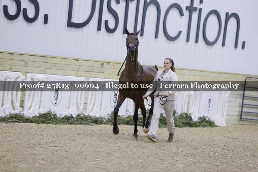 Proof 25R13_00604