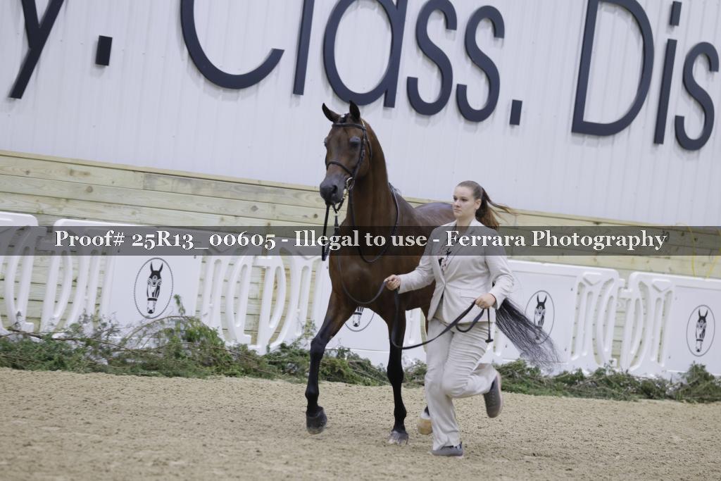 Proof 25R13_00605