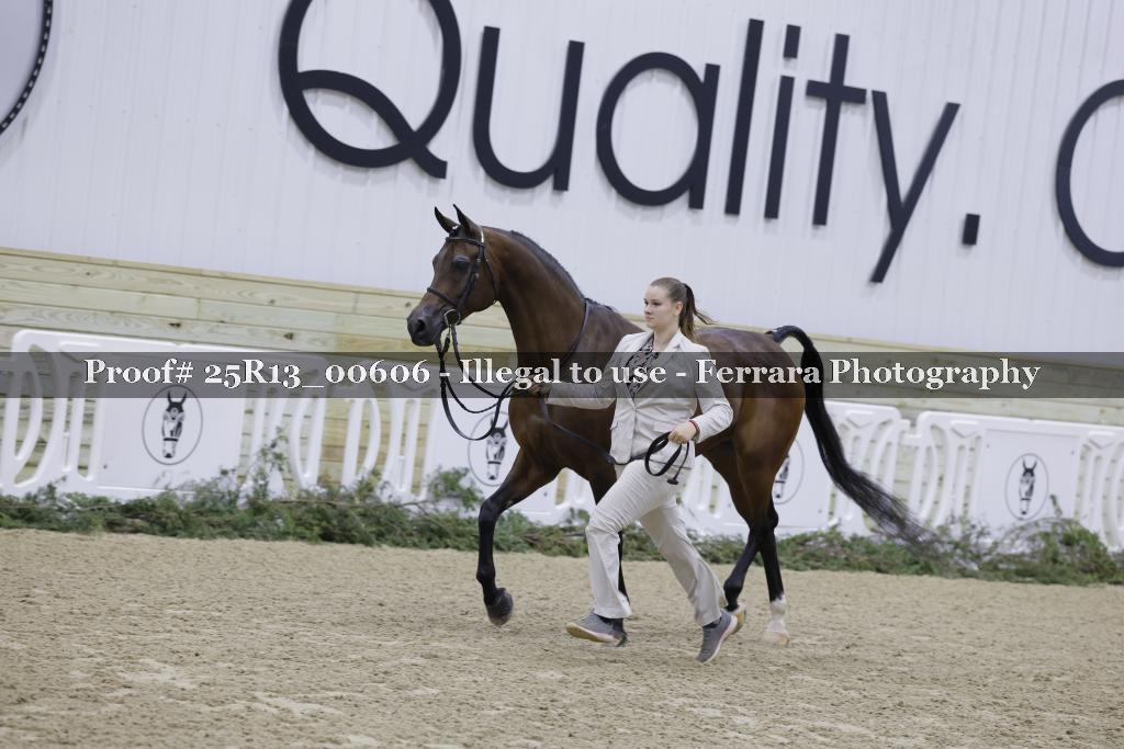 Proof 25R13_00606