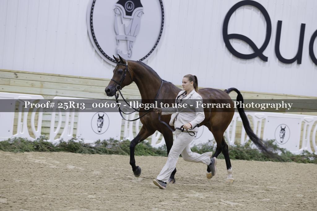Proof 25R13_00607