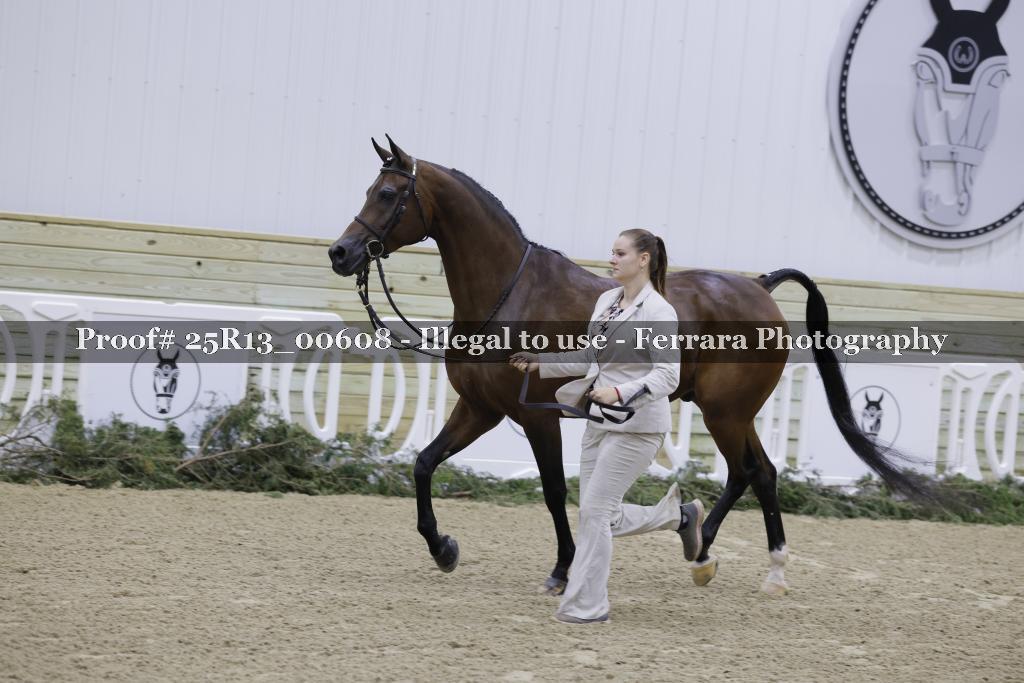 Proof 25R13_00608