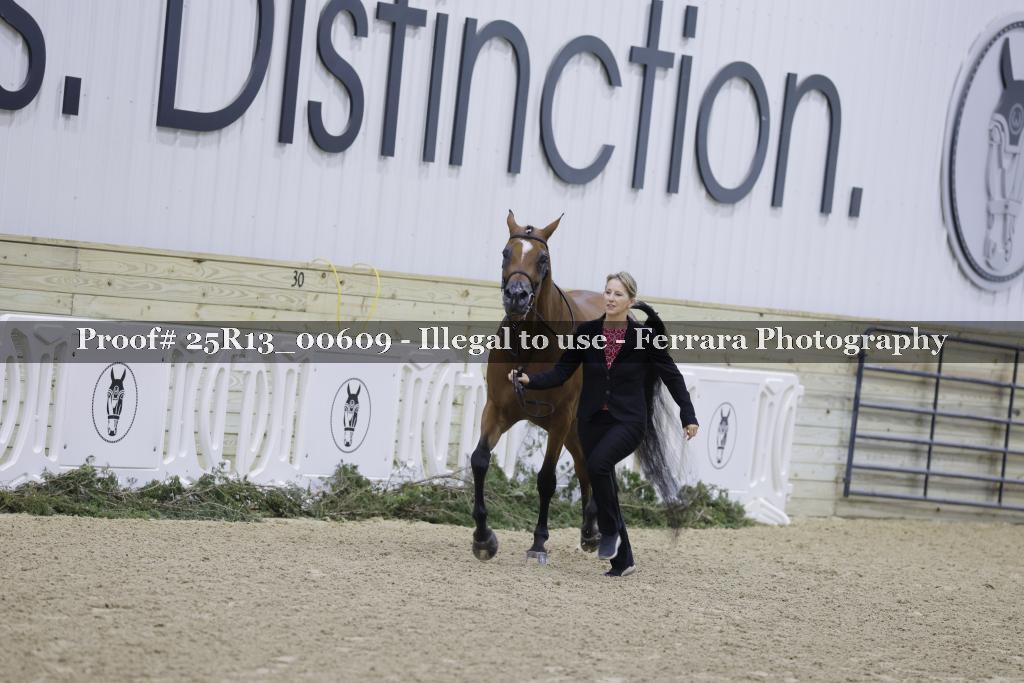 Proof 25R13_00609