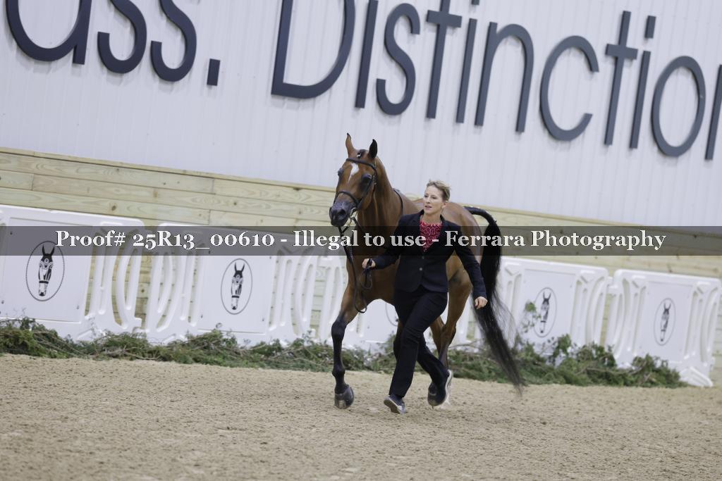 Proof 25R13_00610