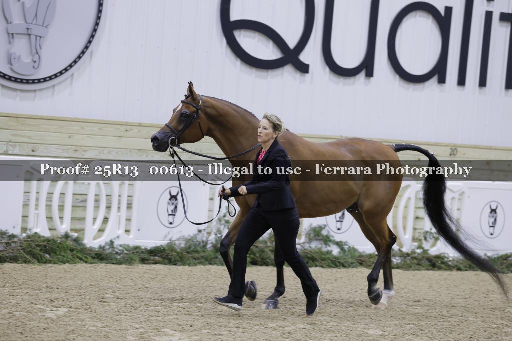 Proof 25R13_00613
