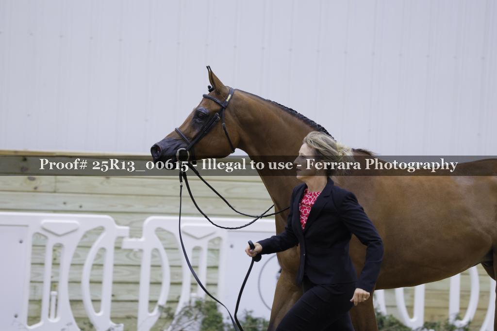 Proof 25R13_00615