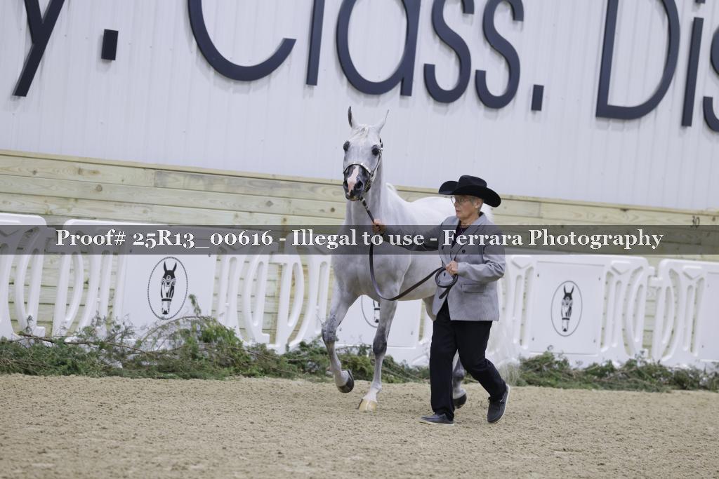 Proof 25R13_00616