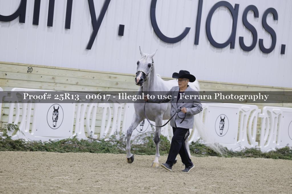 Proof 25R13_00617
