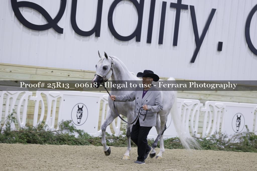 Proof 25R13_00618