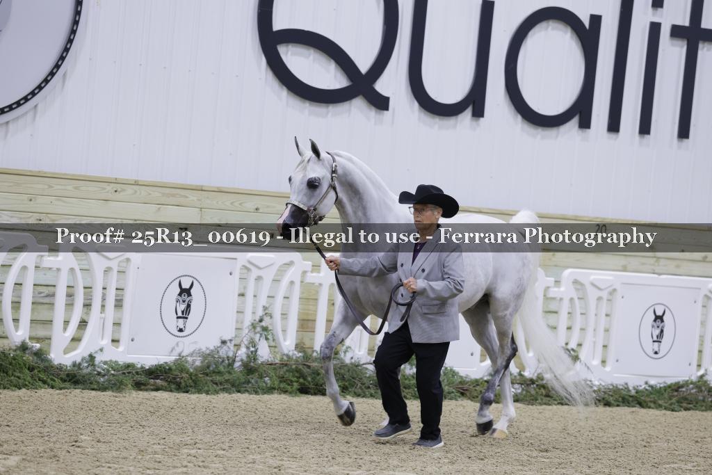 Proof 25R13_00619