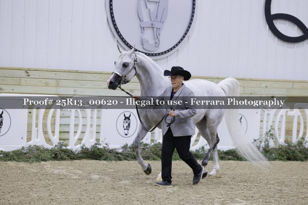 Proof 25R13_00620